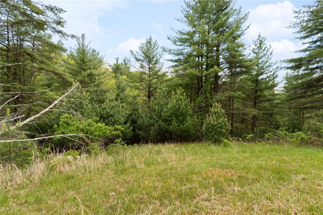 lot 14 Camp View Trail