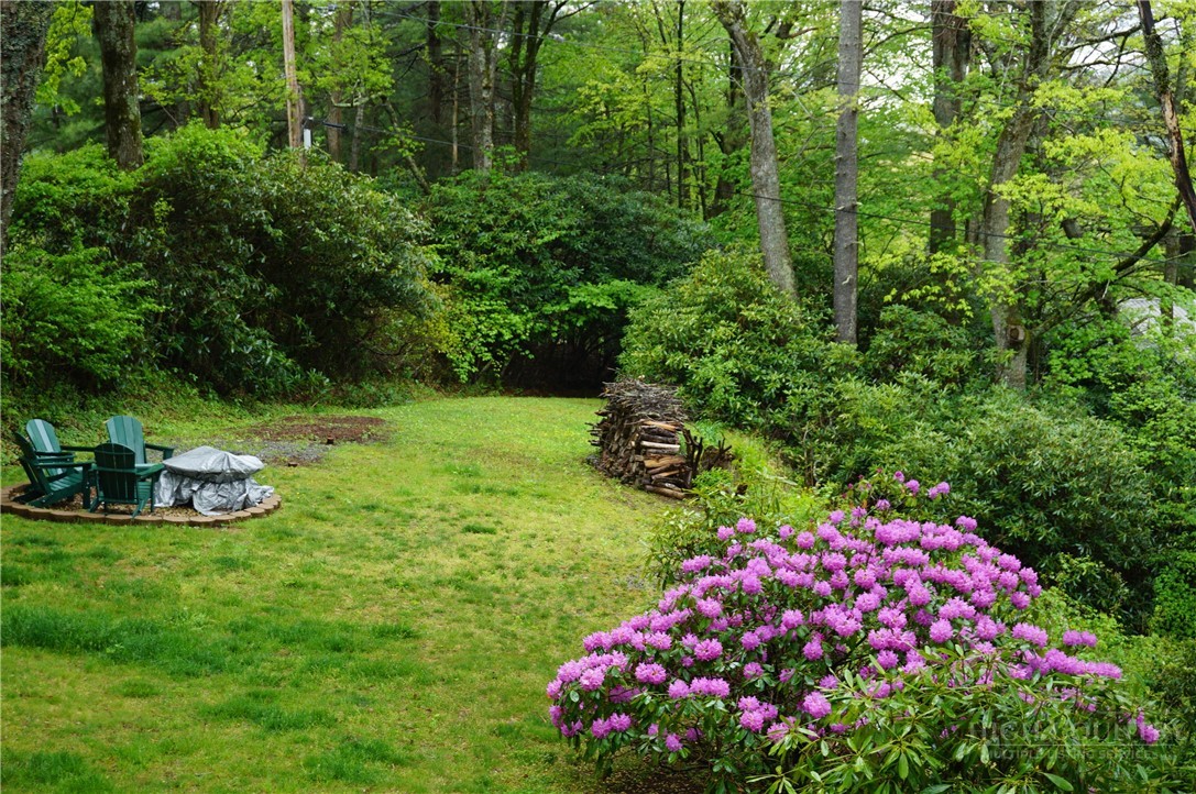 557 White Pine Road
