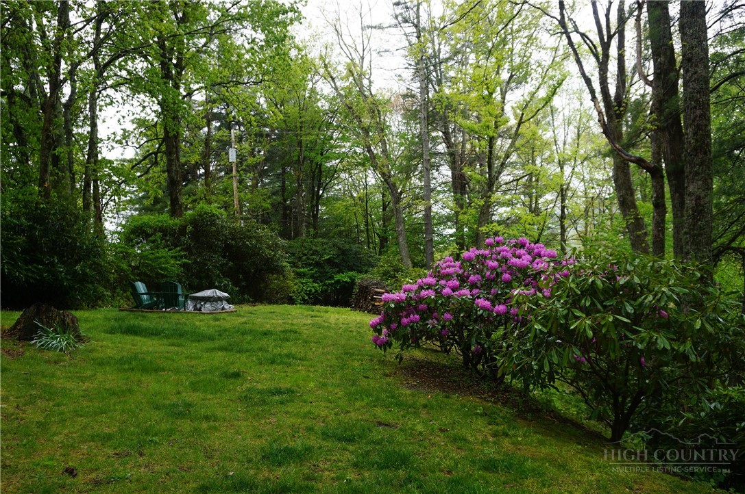 557 White Pine Road