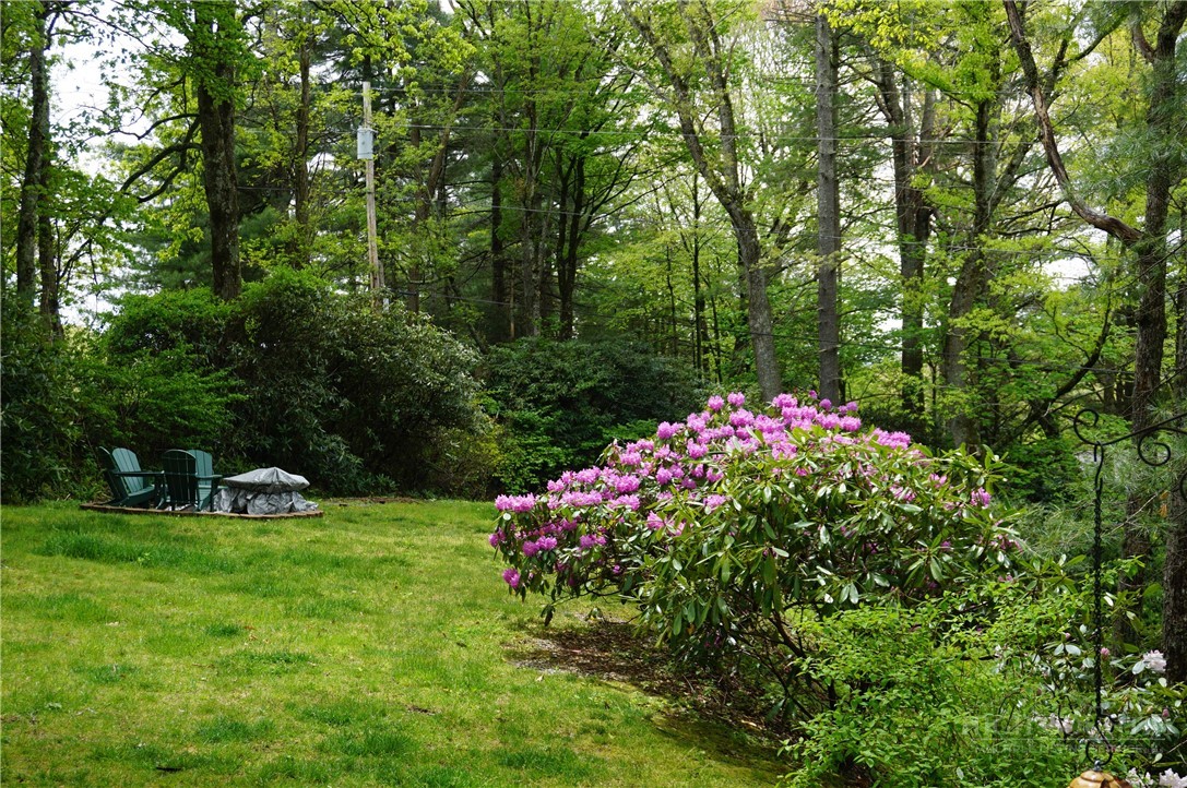 557 White Pine Road