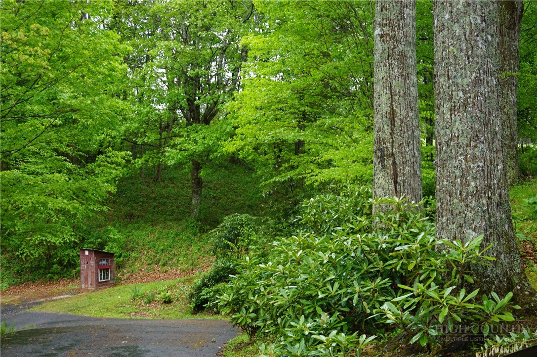 557 White Pine Road