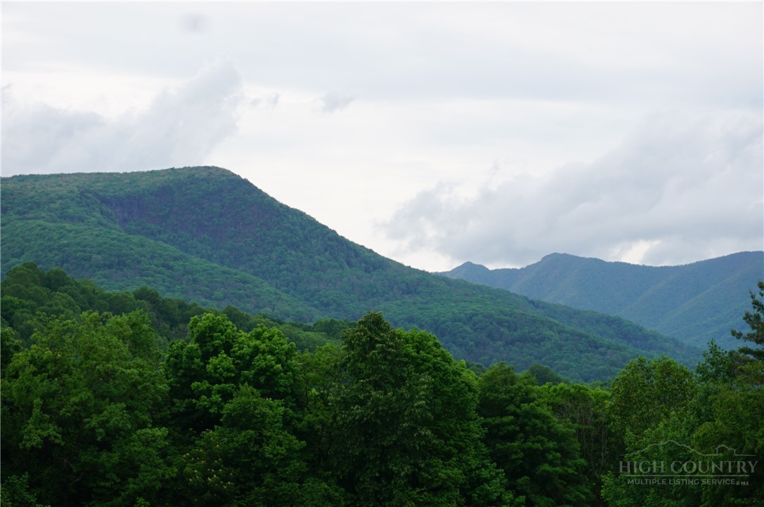 1470 Buck Mountain Road