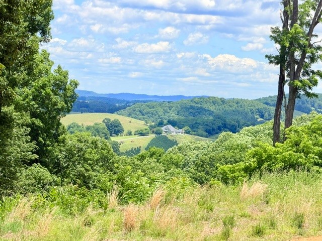 TBD (3.28 acres) Cox Road