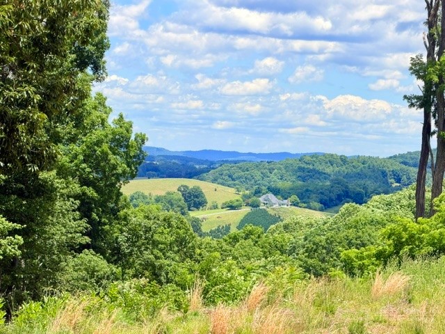 TBD (3.28 acres) Cox Road
