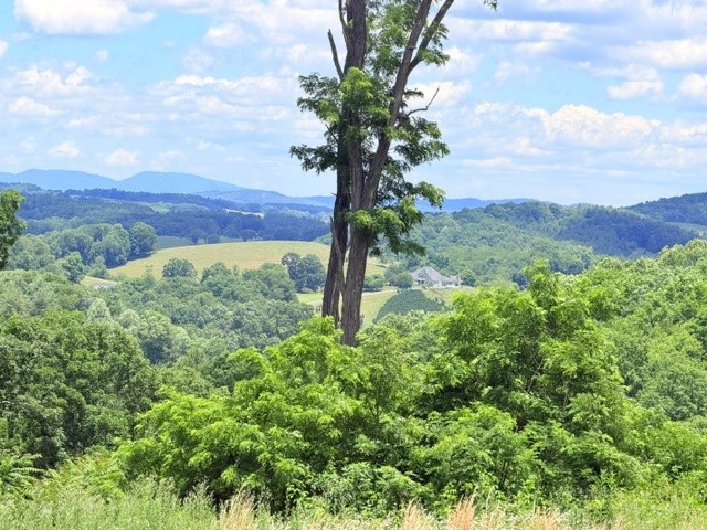 TBD (3.28 acres) Cox Road