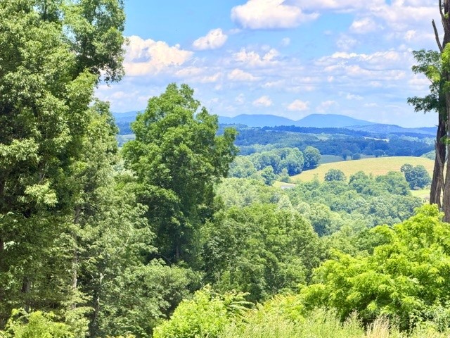 TBD (3.28 acres) Cox Road