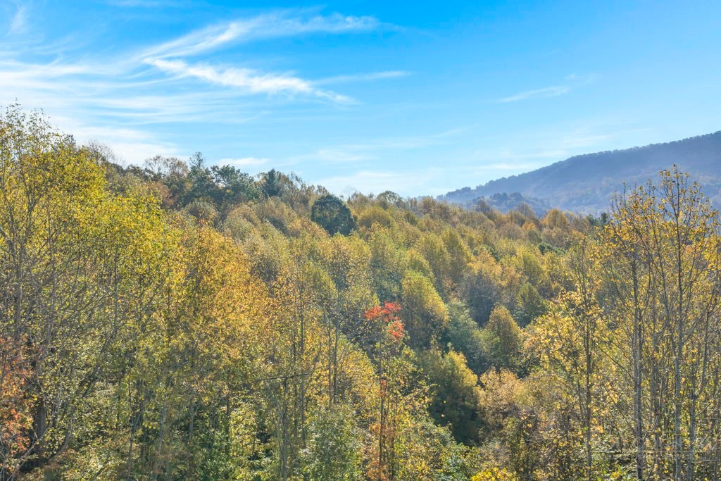TBD Staggs Creek Road