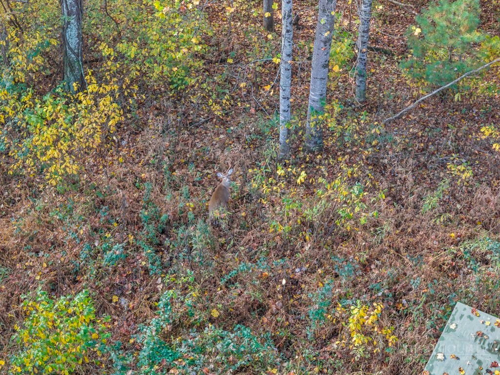 TBD Staggs Creek Road