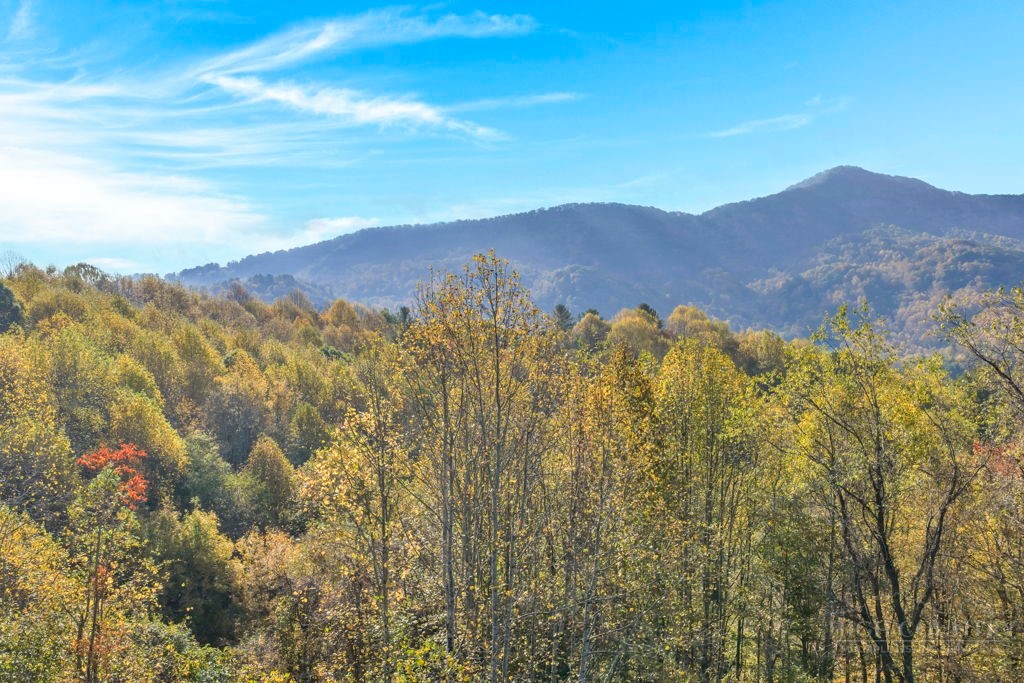 TBD Staggs Creek Road