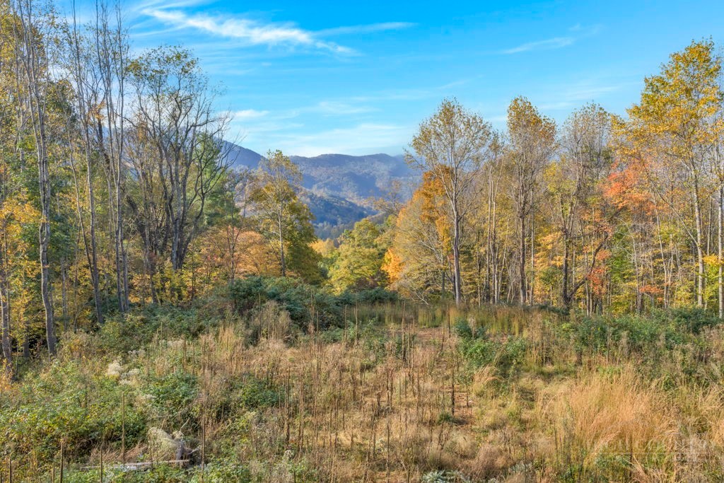 TBD Staggs Creek Road
