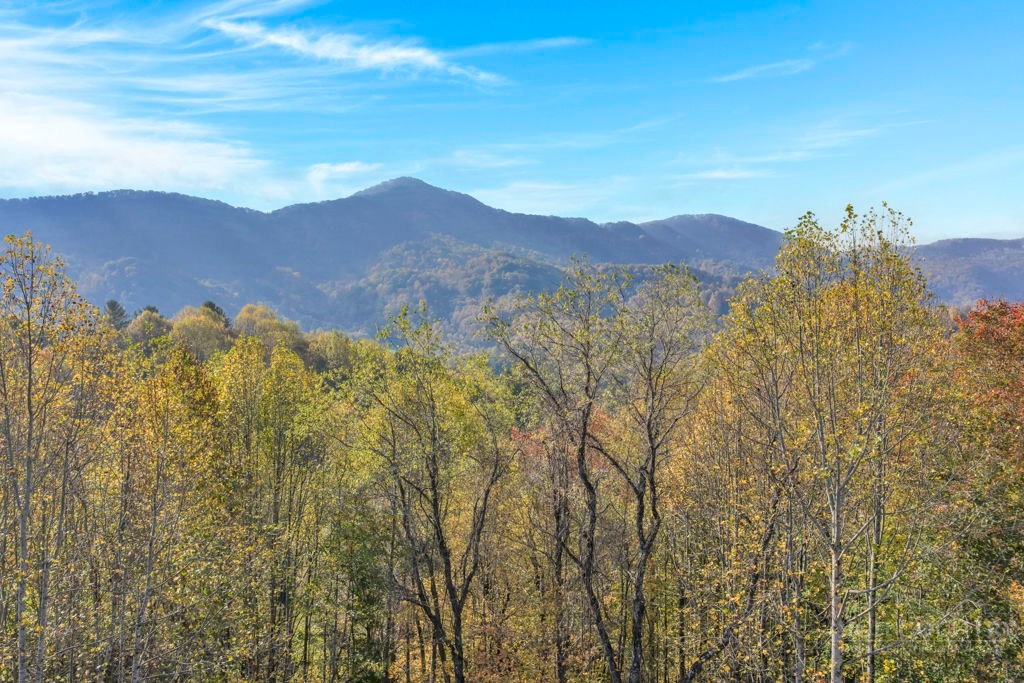 TBD Staggs Creek Road