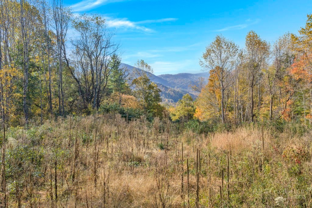 TBD Staggs Creek Road
