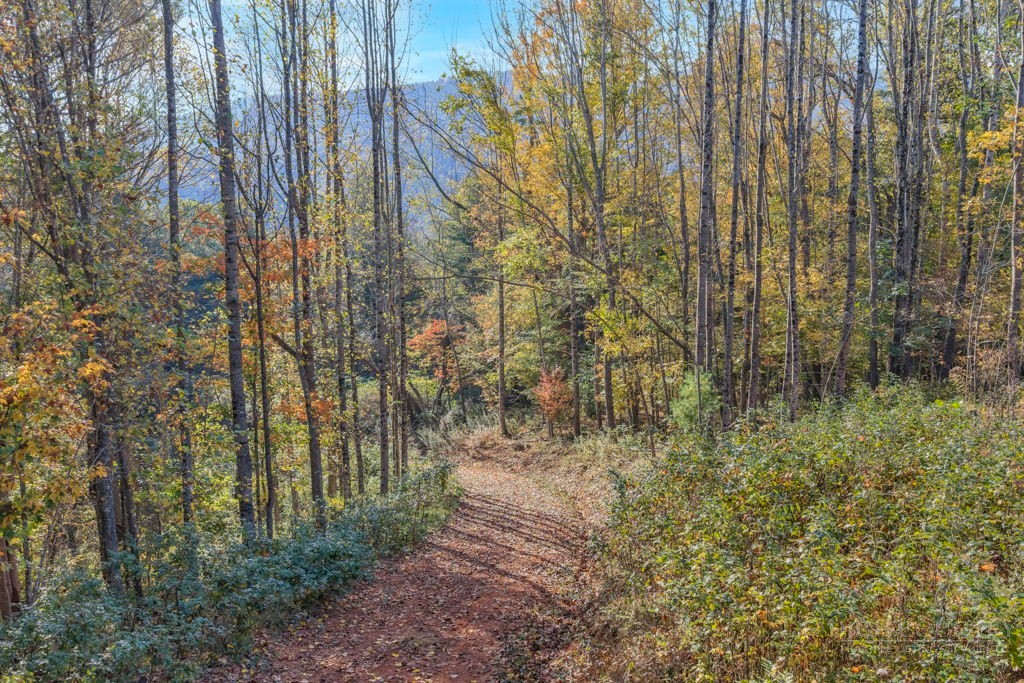 TBD Staggs Creek Road