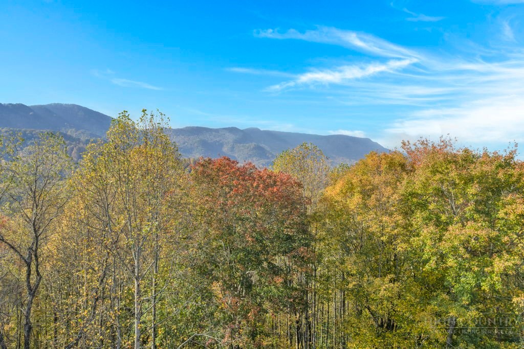 TBD Staggs Creek Road