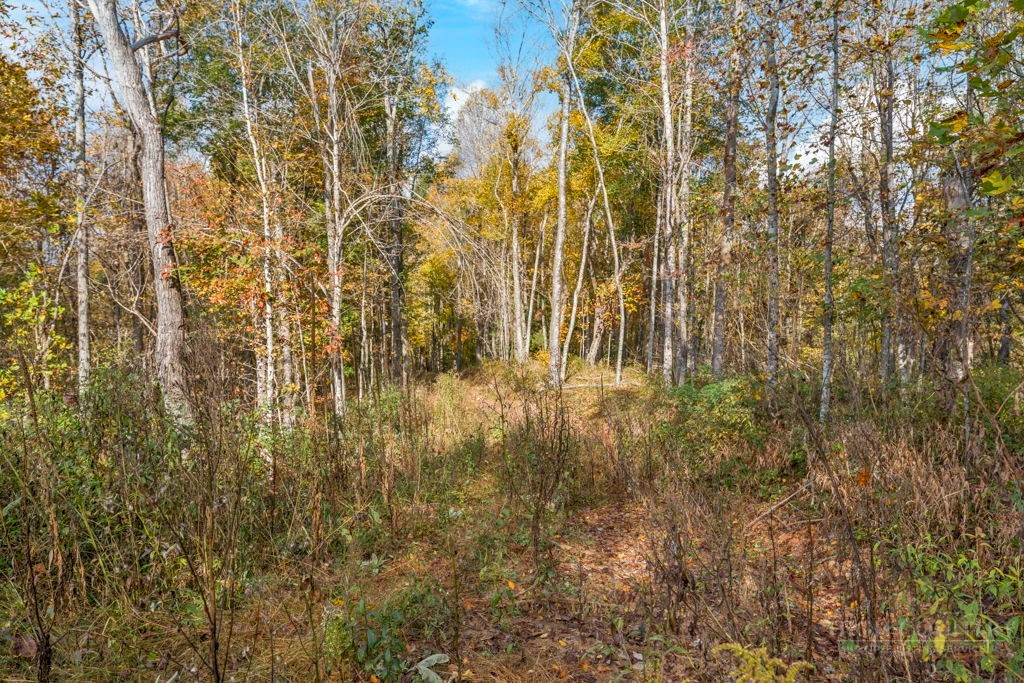 TBD Staggs Creek Road
