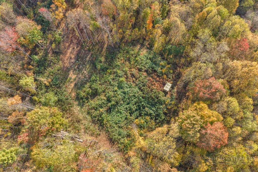 TBD Staggs Creek Road