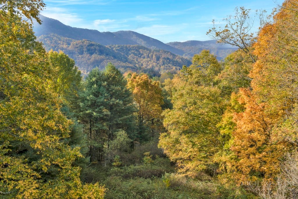 TBD Staggs Creek Road