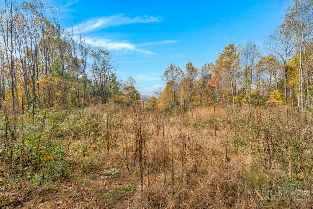 TBD Staggs Creek Road