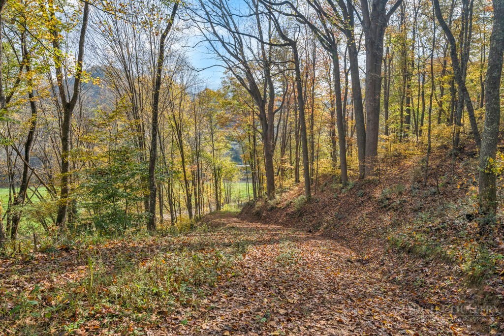 TBD Staggs Creek Road