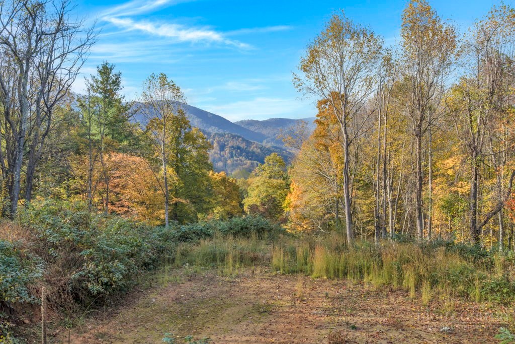 TBD Staggs Creek Road