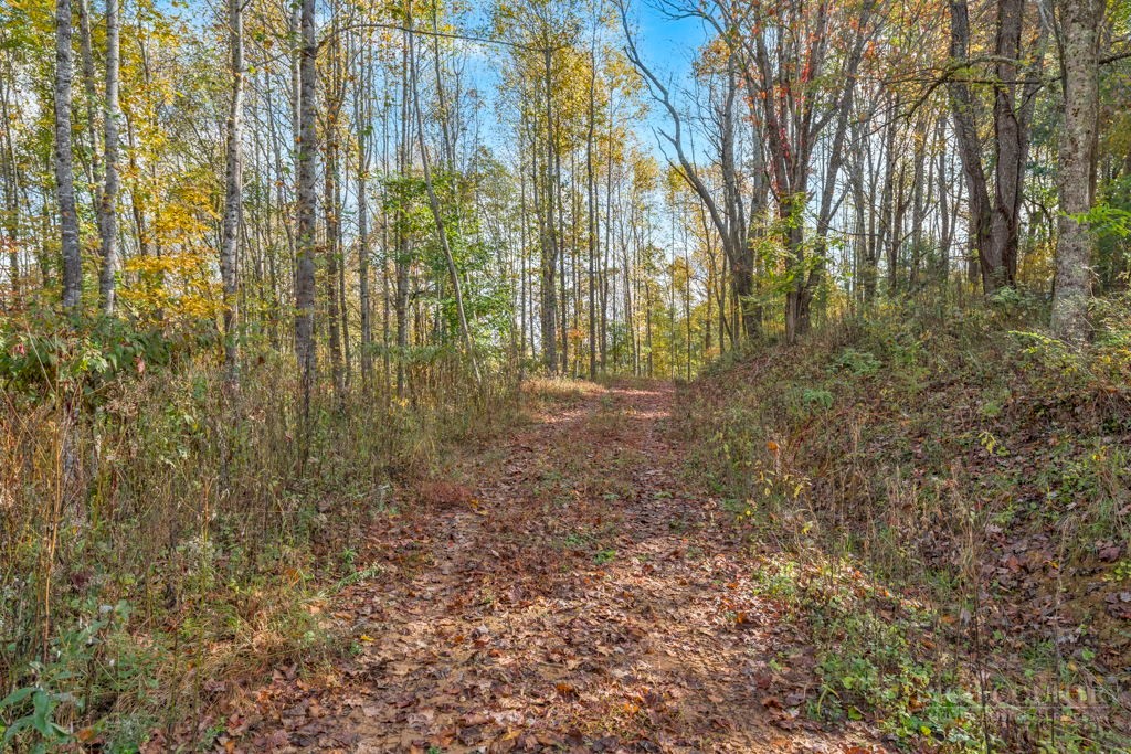 TBD Staggs Creek Road