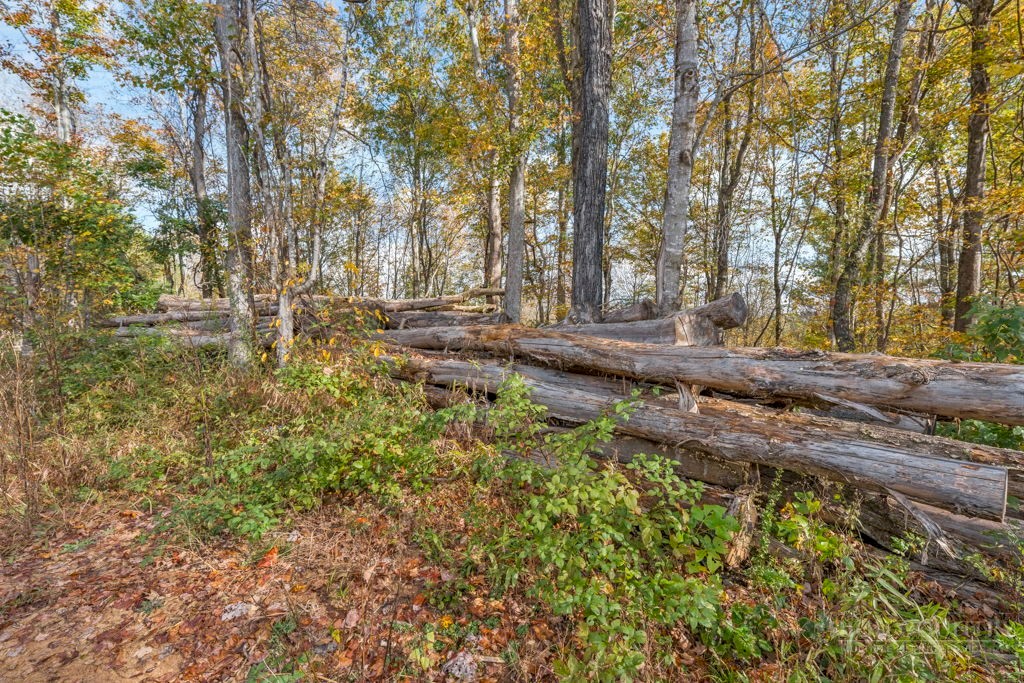 TBD Staggs Creek Road