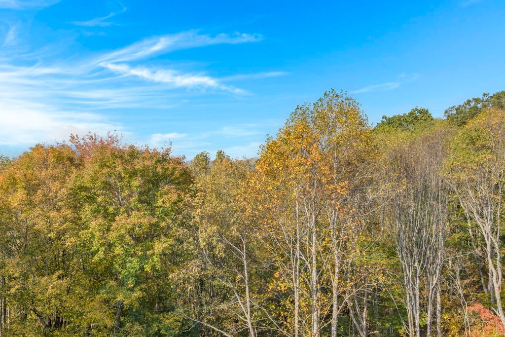TBD Staggs Creek Road