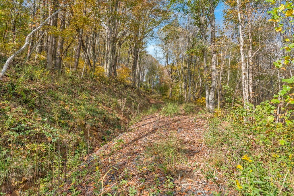 TBD Staggs Creek Road