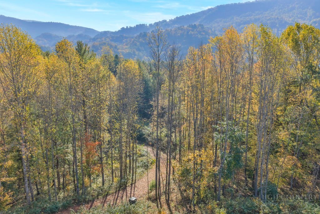 TBD Staggs Creek Road