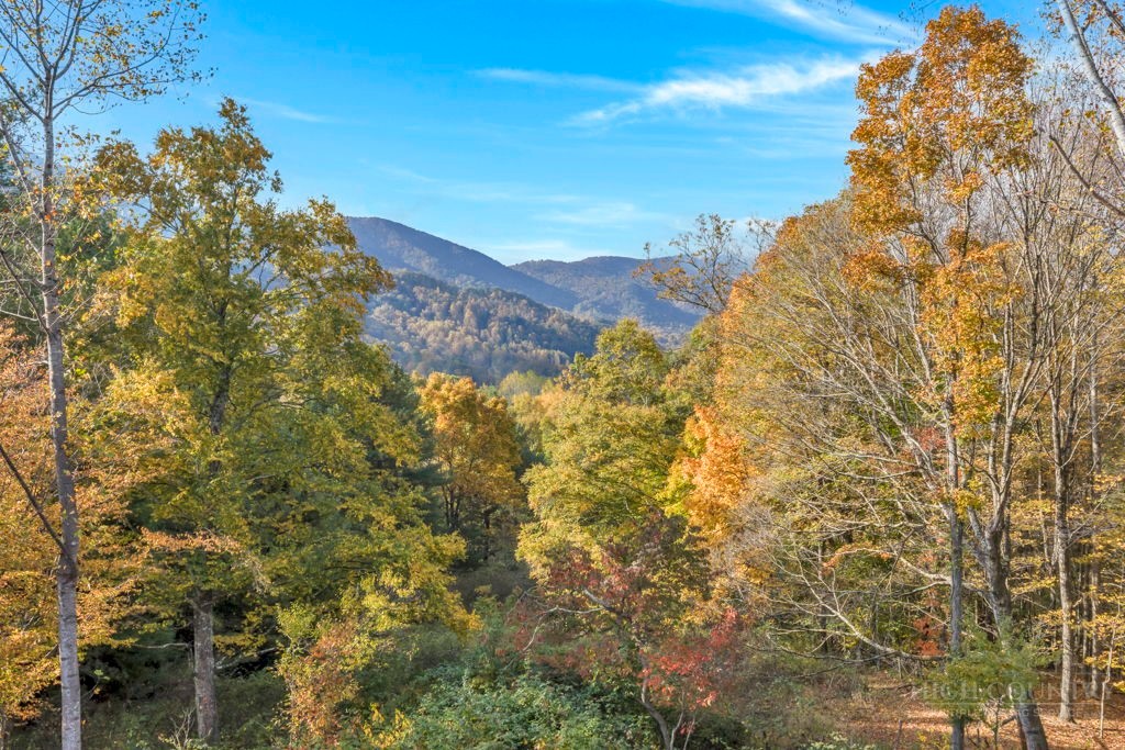 TBD Staggs Creek Road