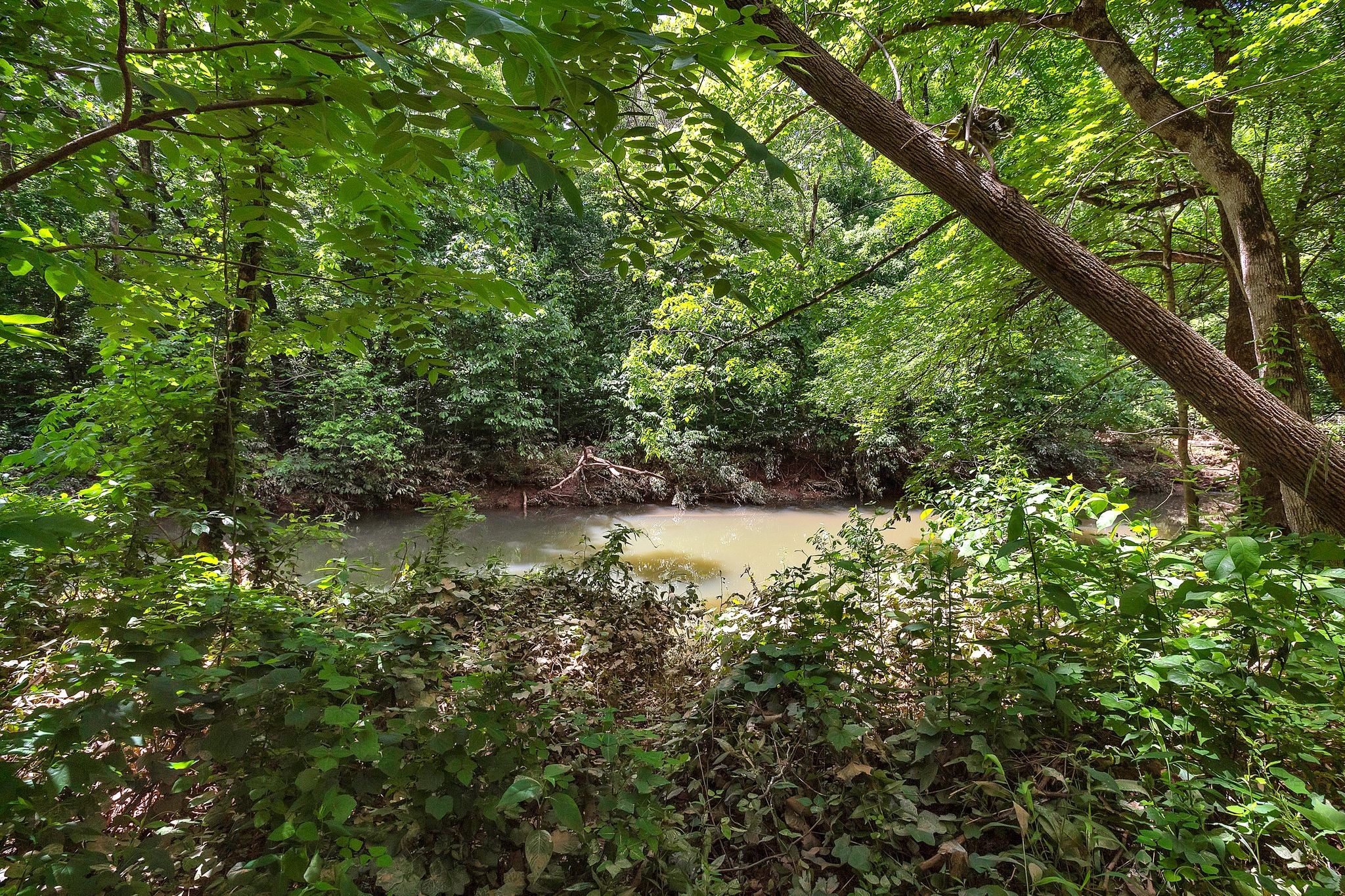 55 W Fork Dr