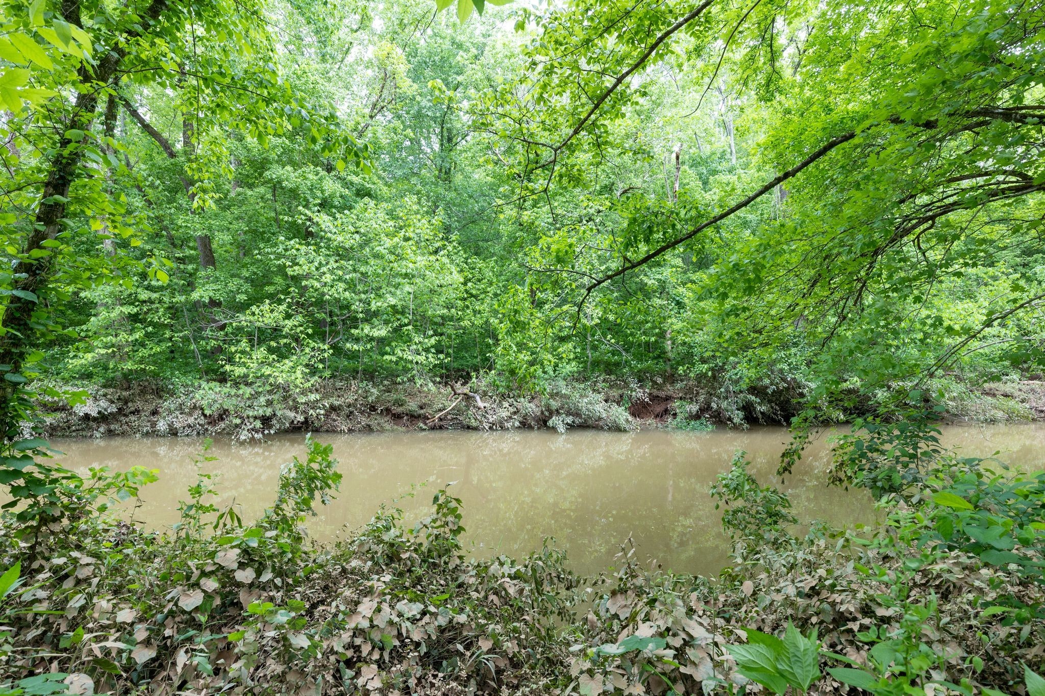 55 W Fork Dr