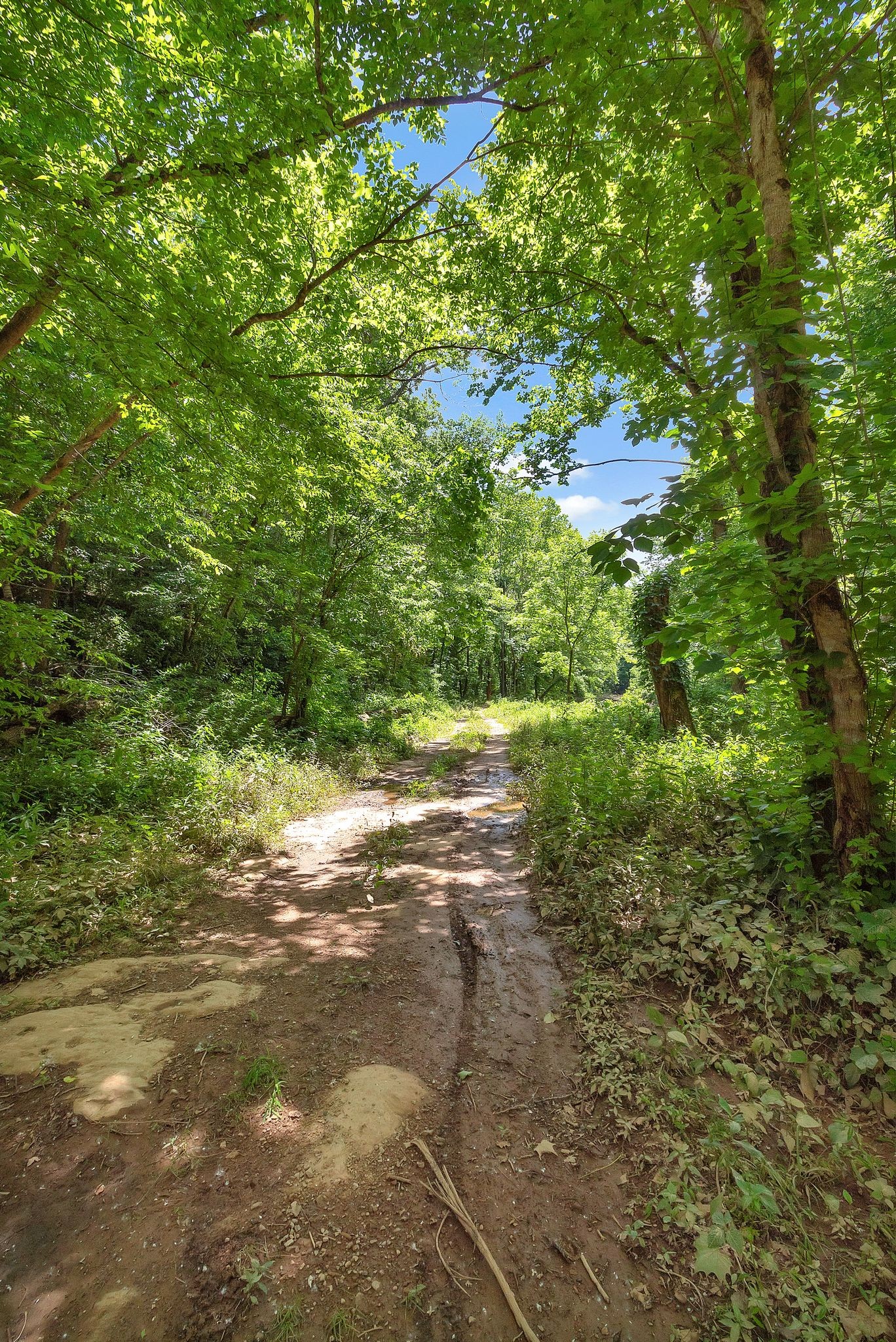 55 W Fork Dr