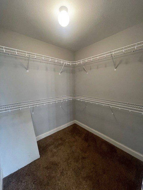 1005 Harding Dr