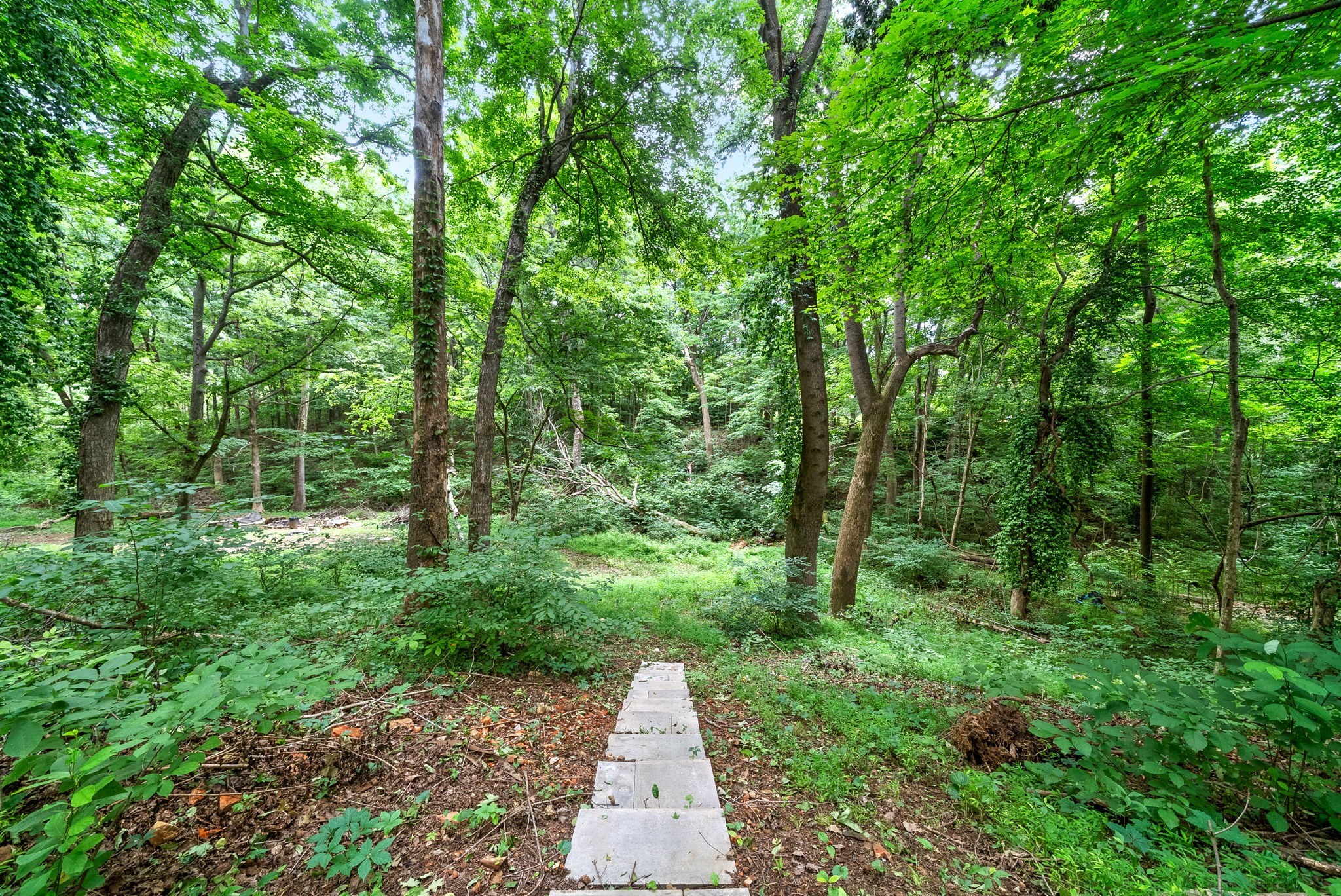 2451 Whitfield Rd