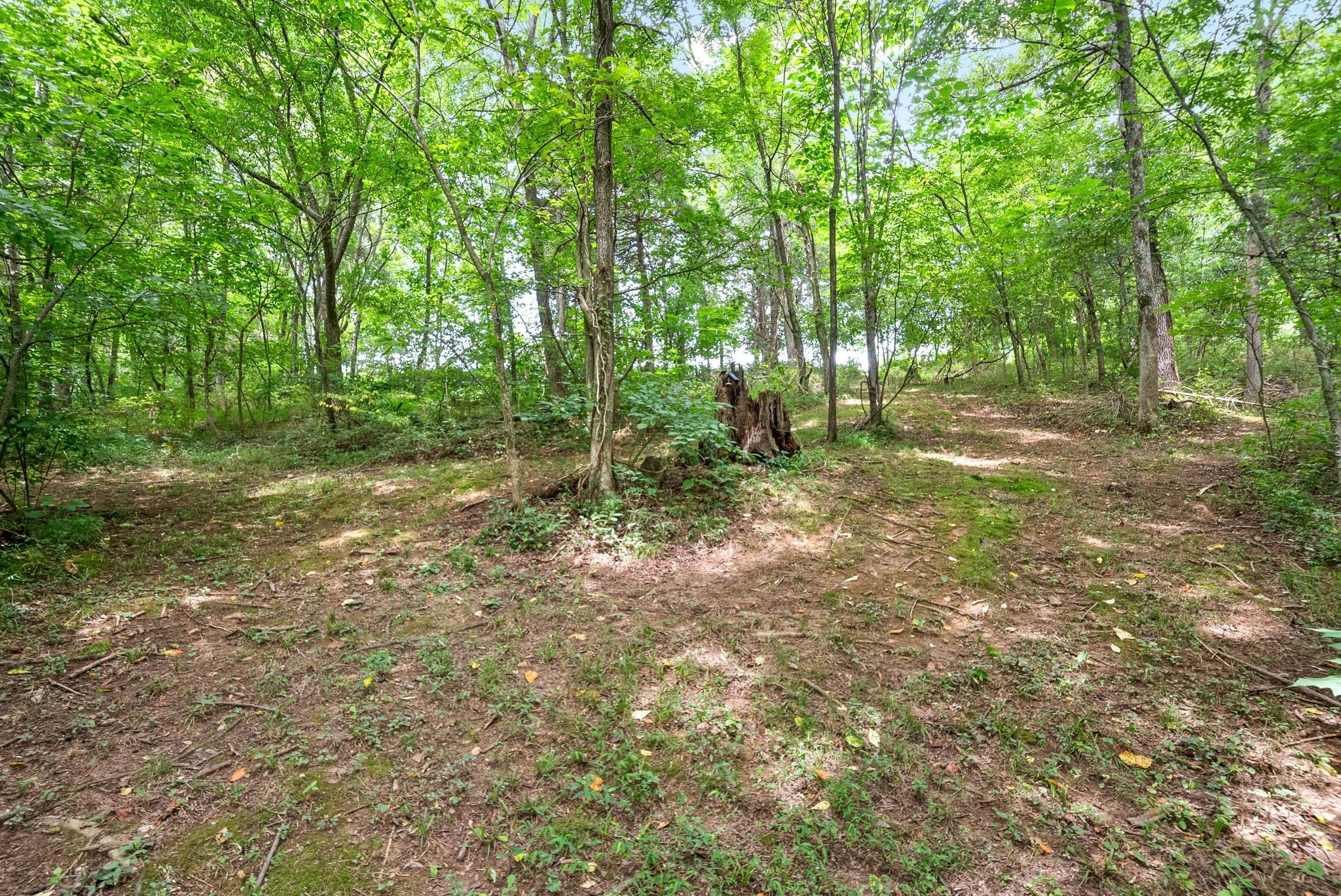 4592 Abednego Rd