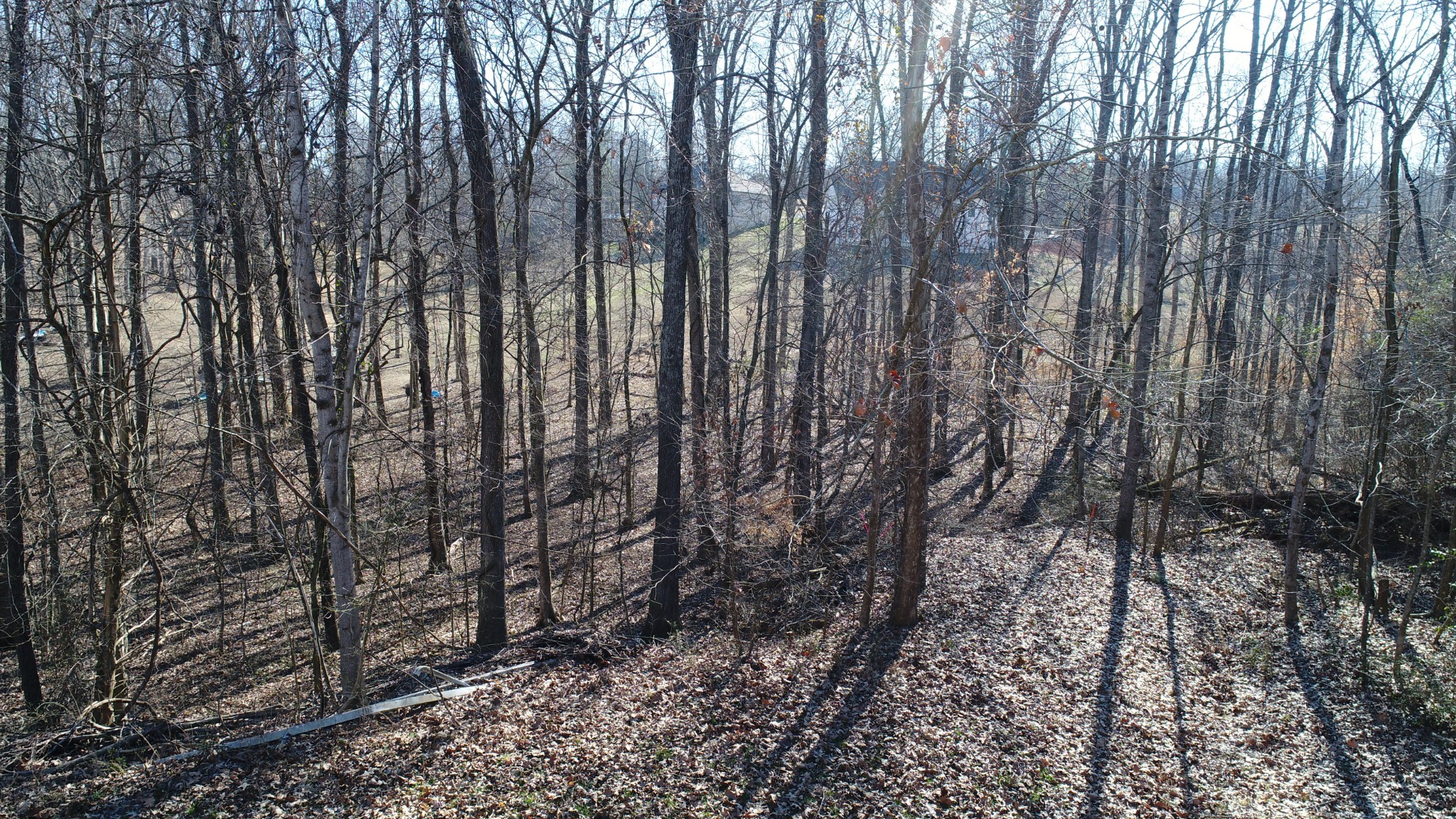 29 Long Creek Estates