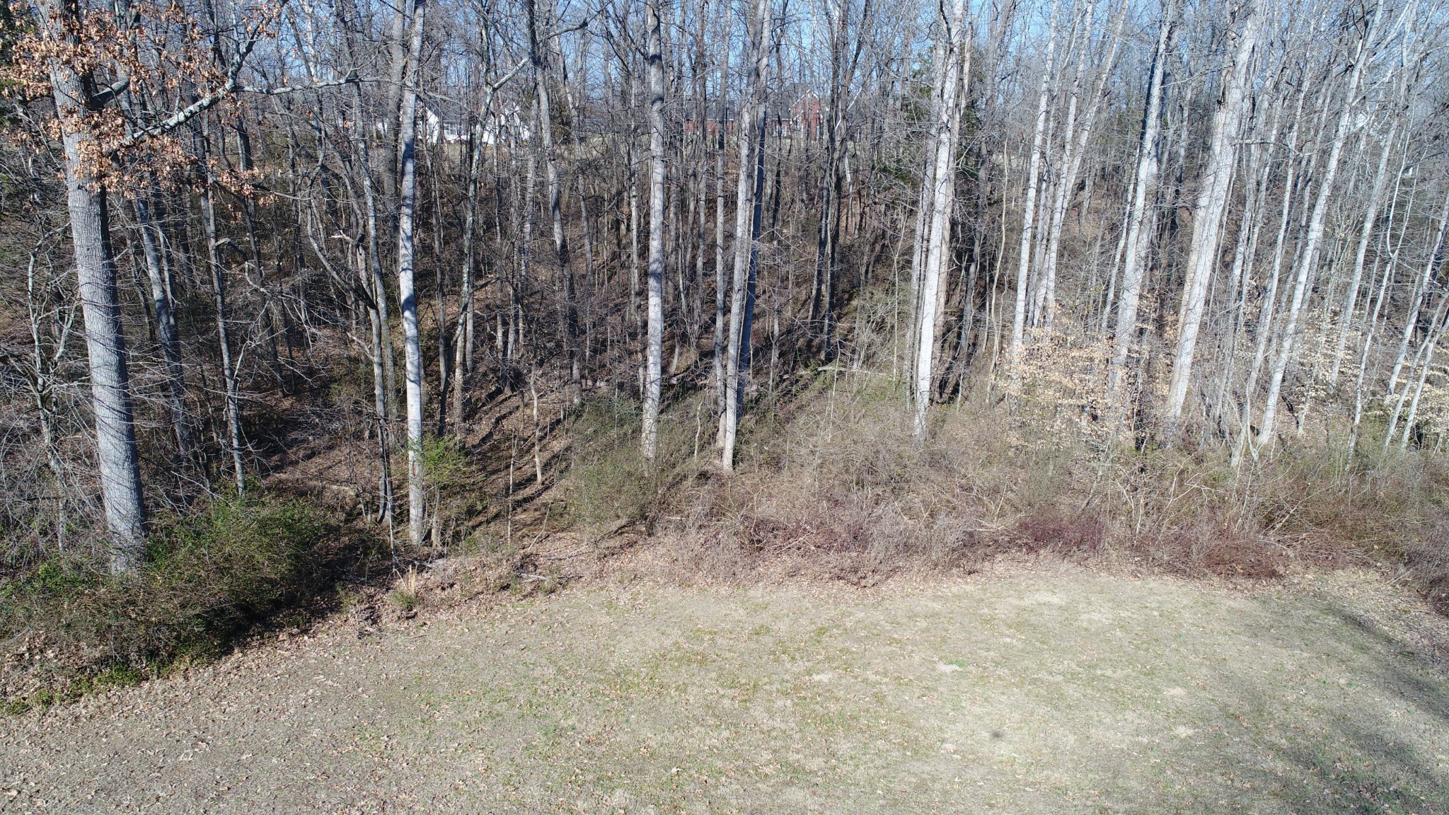 29 Long Creek Estates