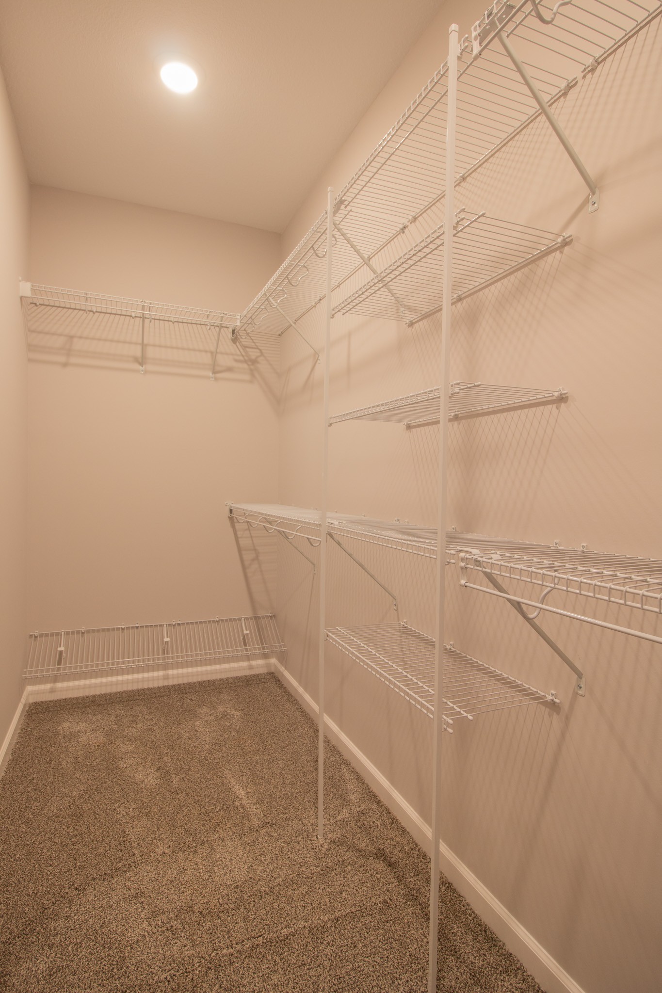 341 Timber Springs