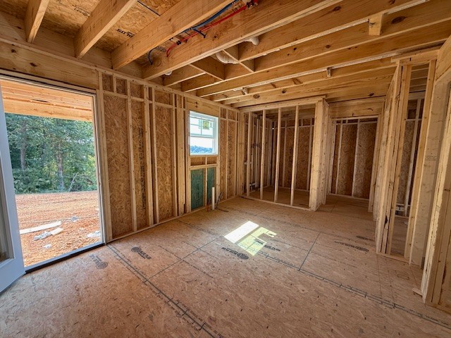 295 Cardinal Creek