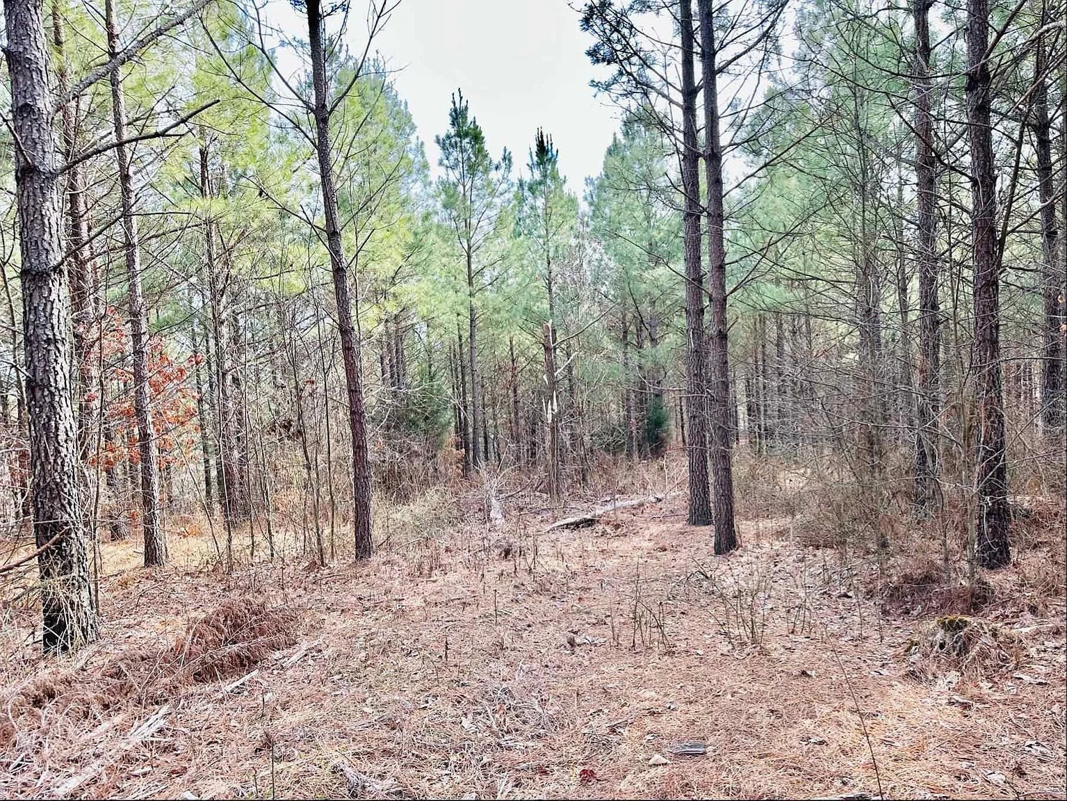 48 Ranches at Hickory Ridge