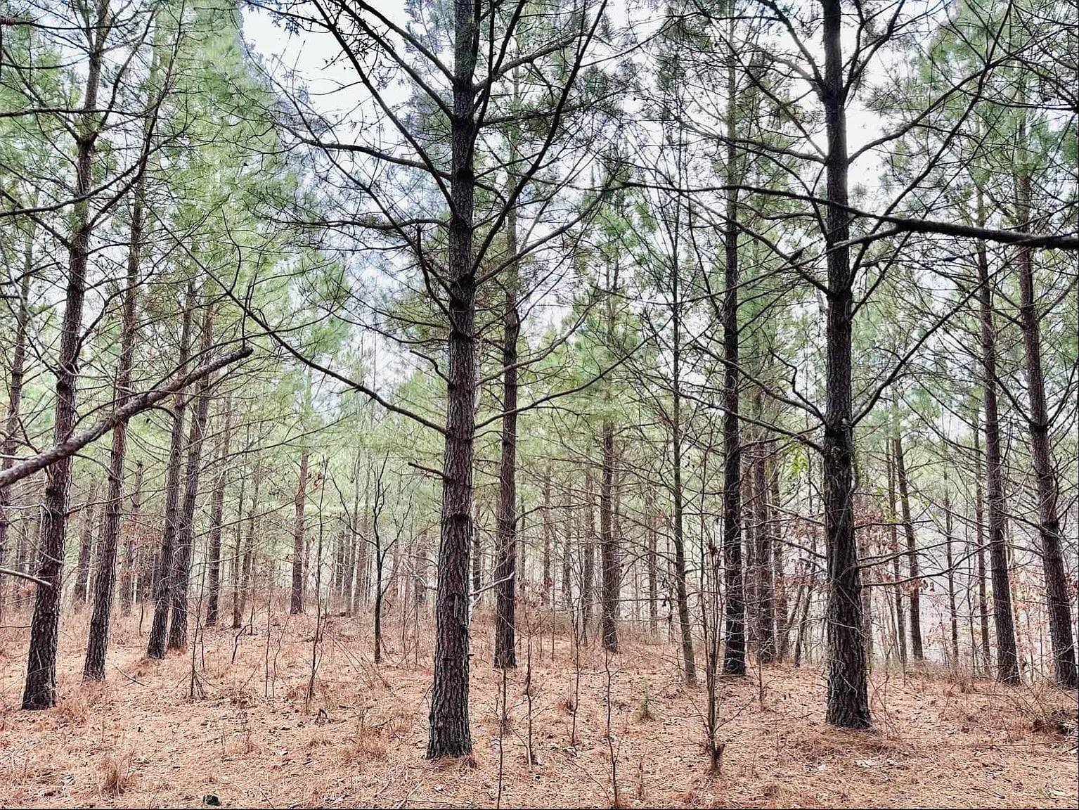 48 Ranches at Hickory Ridge