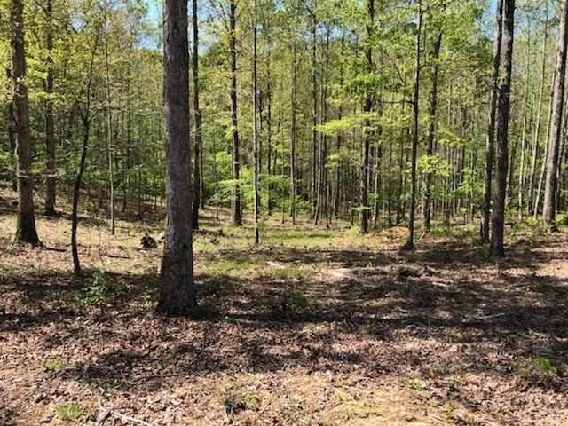 81 The Woodlands of Nashville