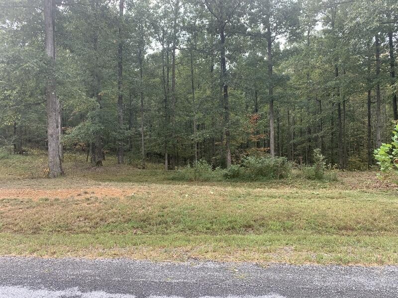 81 The Woodlands of Nashville