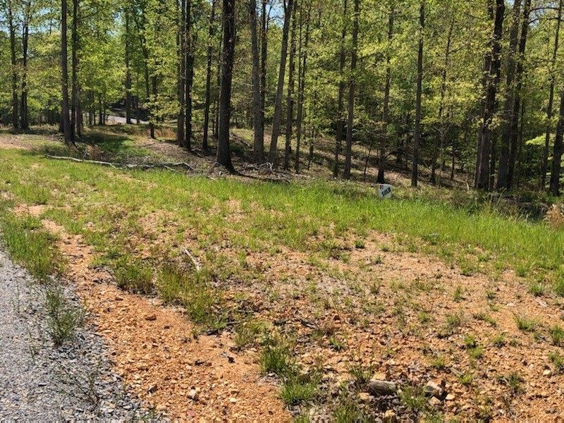 81 The Woodlands of Nashville