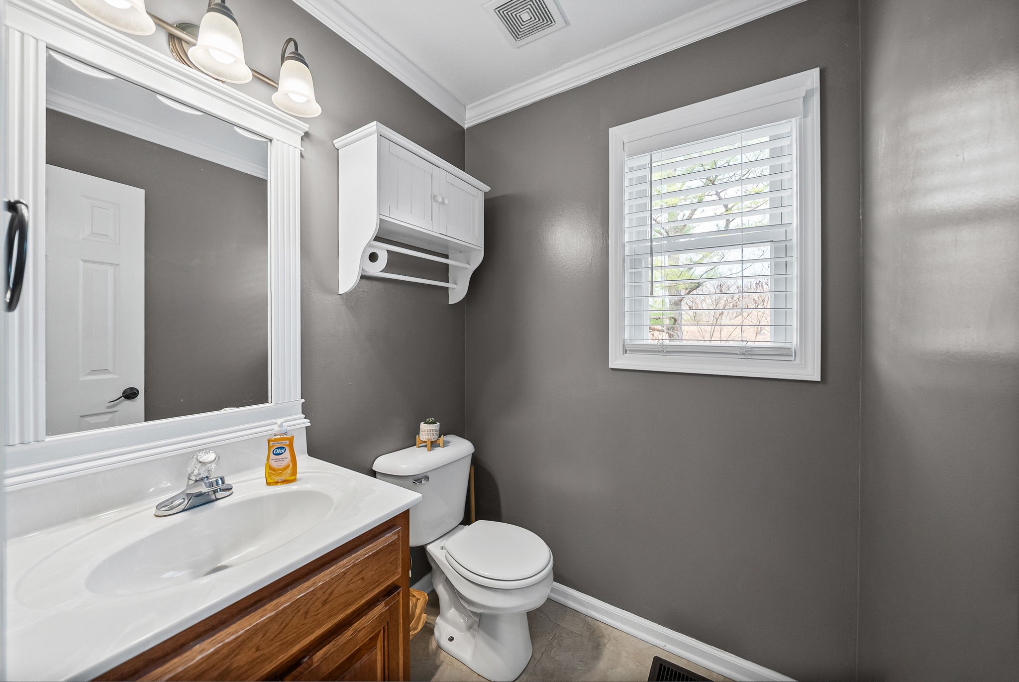 546 Christel Springs Dr