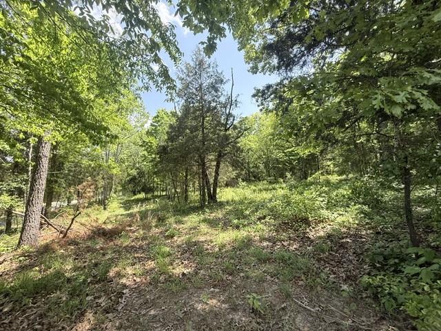 921 Eli Rd