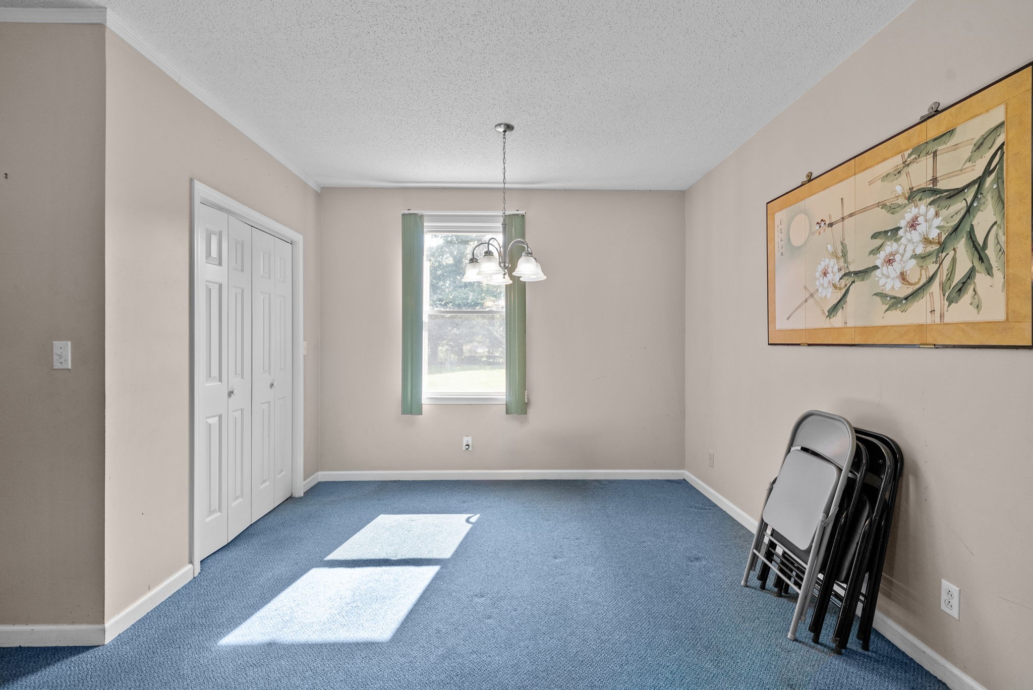 337 Kelsey Dr