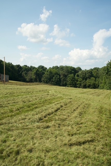 2 Jim Read Rd