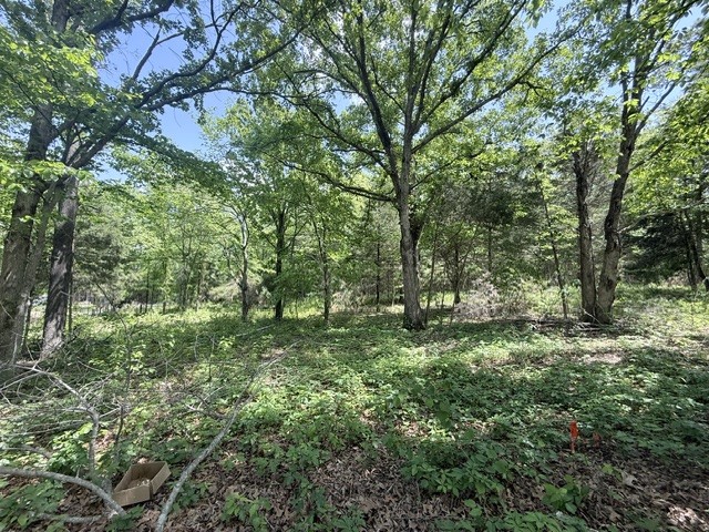 921 Eli Rd